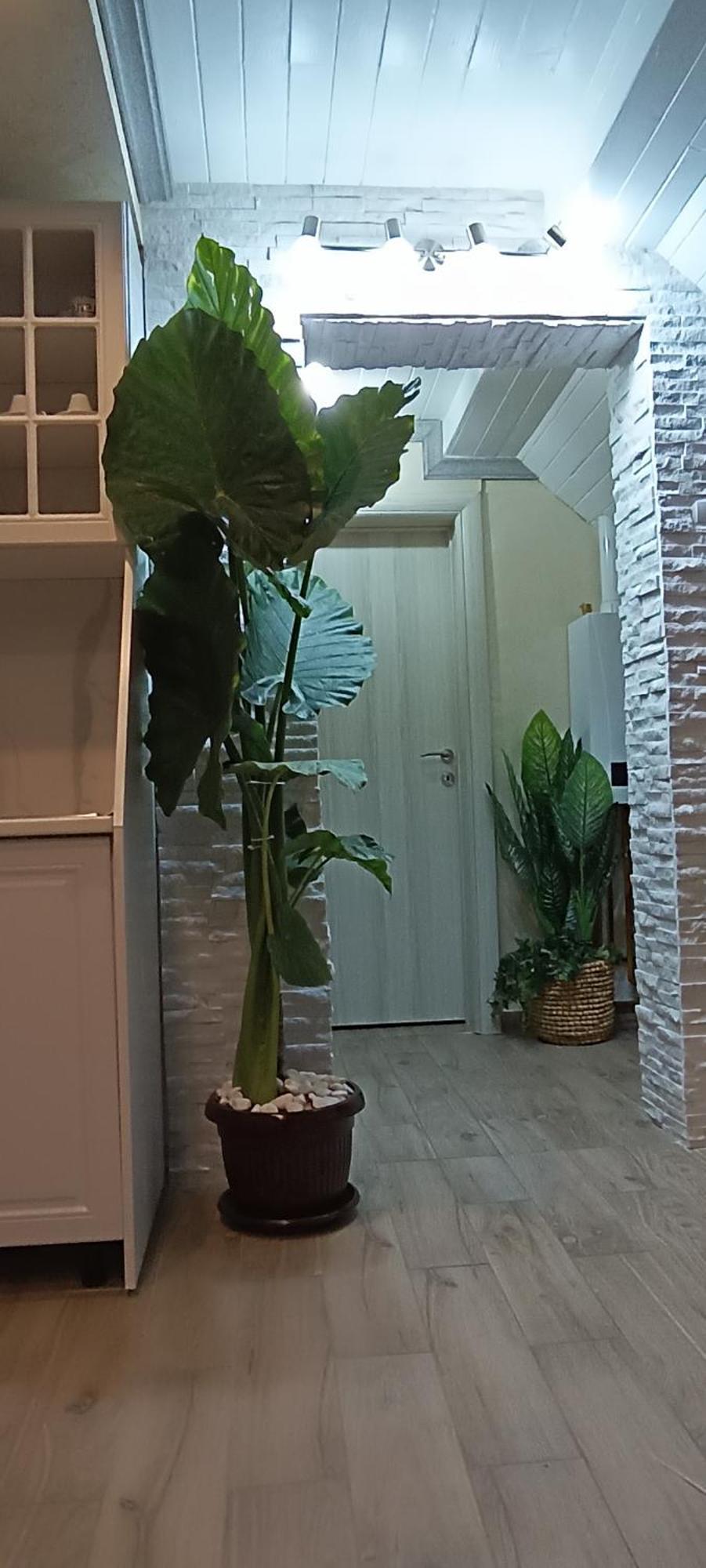 Rb Apartment 1 Palics Kültér fotó
